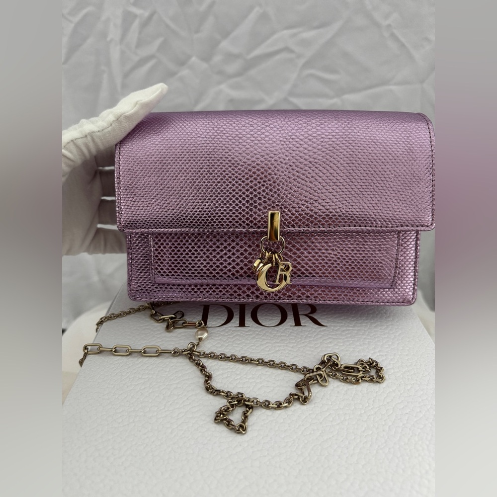 Dior Wallet/Shoulder Bag